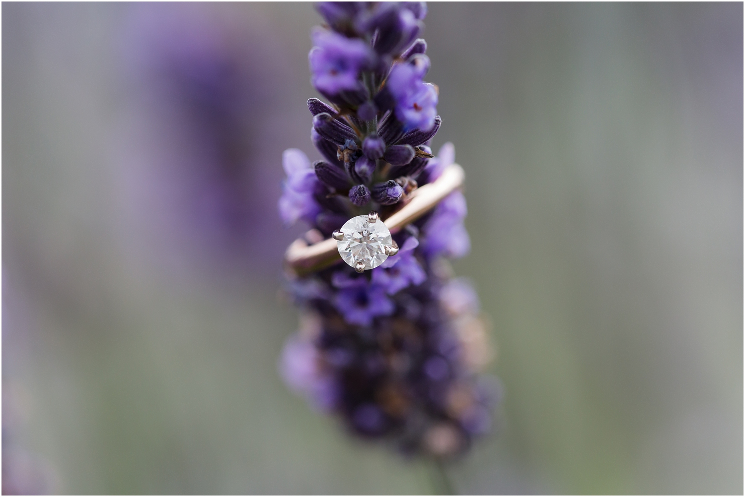 Mukilteo Engagement Session | Cinnamon Wolfe Photography