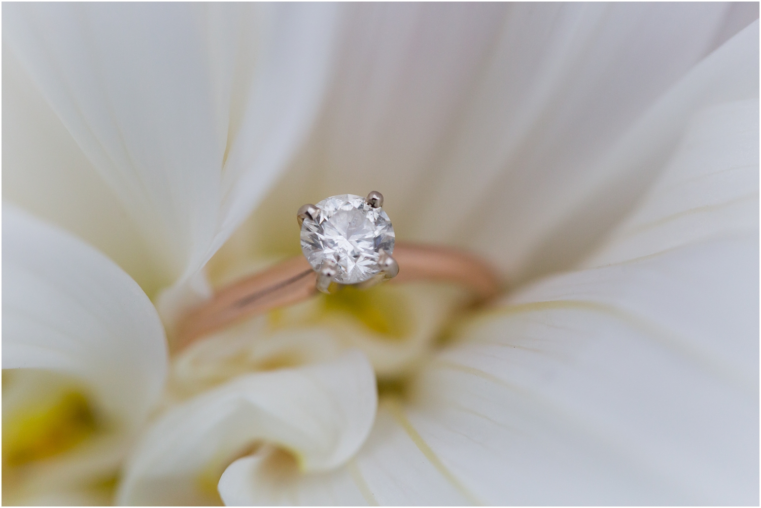 Mukilteo Engagement Session | Cinnamon Wolfe Photography