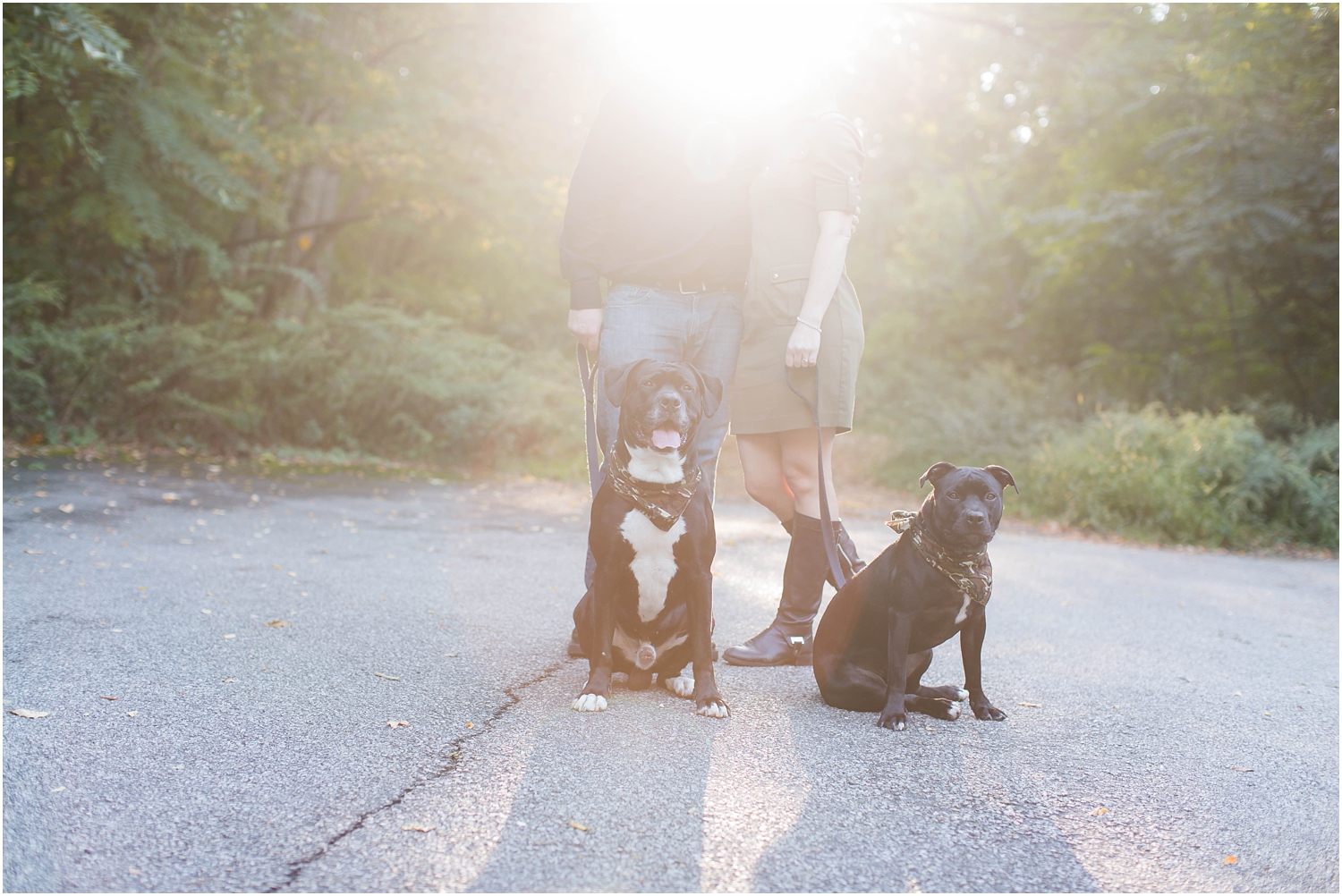 Fall engagement session in new jersey with dogs