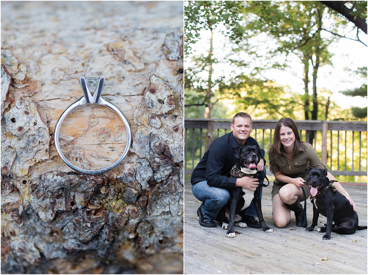 Fall engagement session in new jersey with dogs