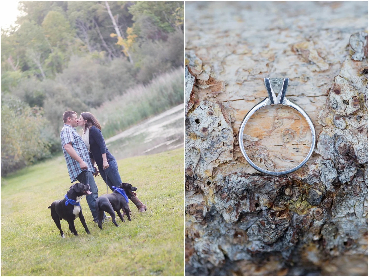 Fall engagement session in new jersey with dogs