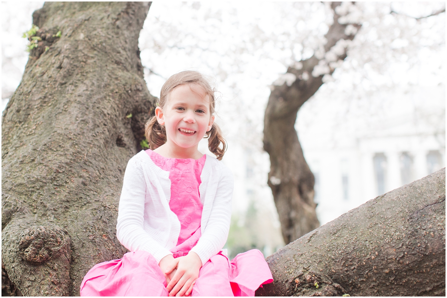 Washington DC Family Photographer