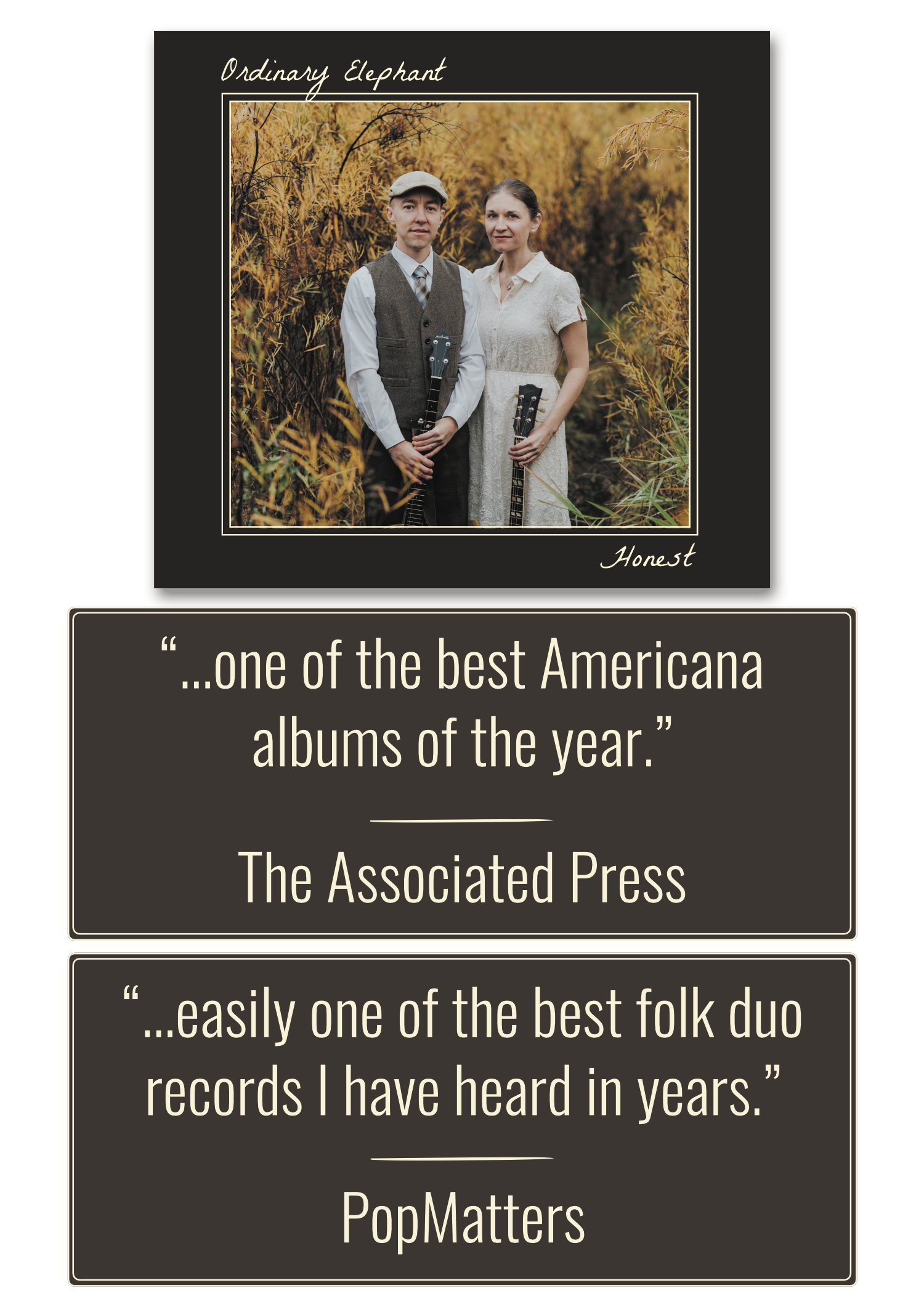 Website album widget.png