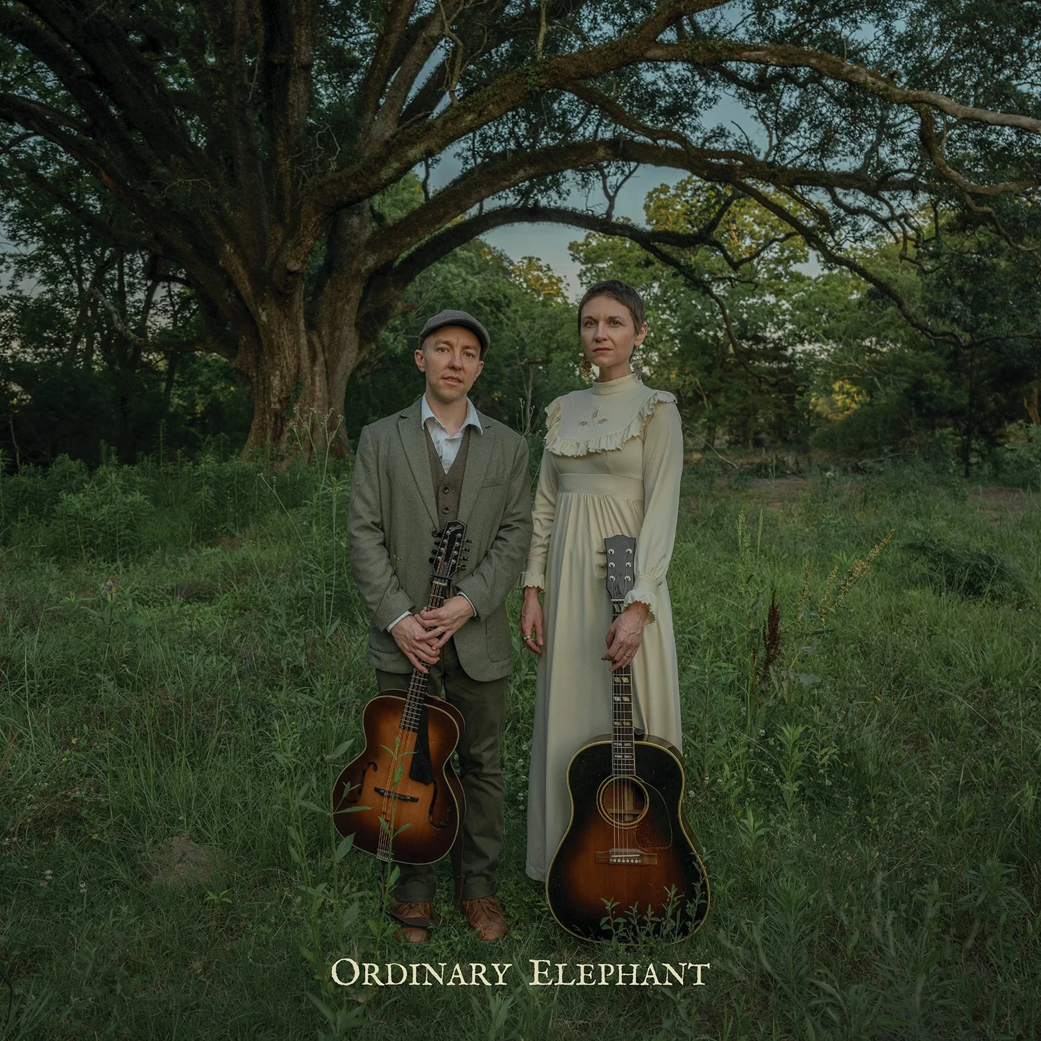 Ordinary Elephant (2024) album cover.jpg