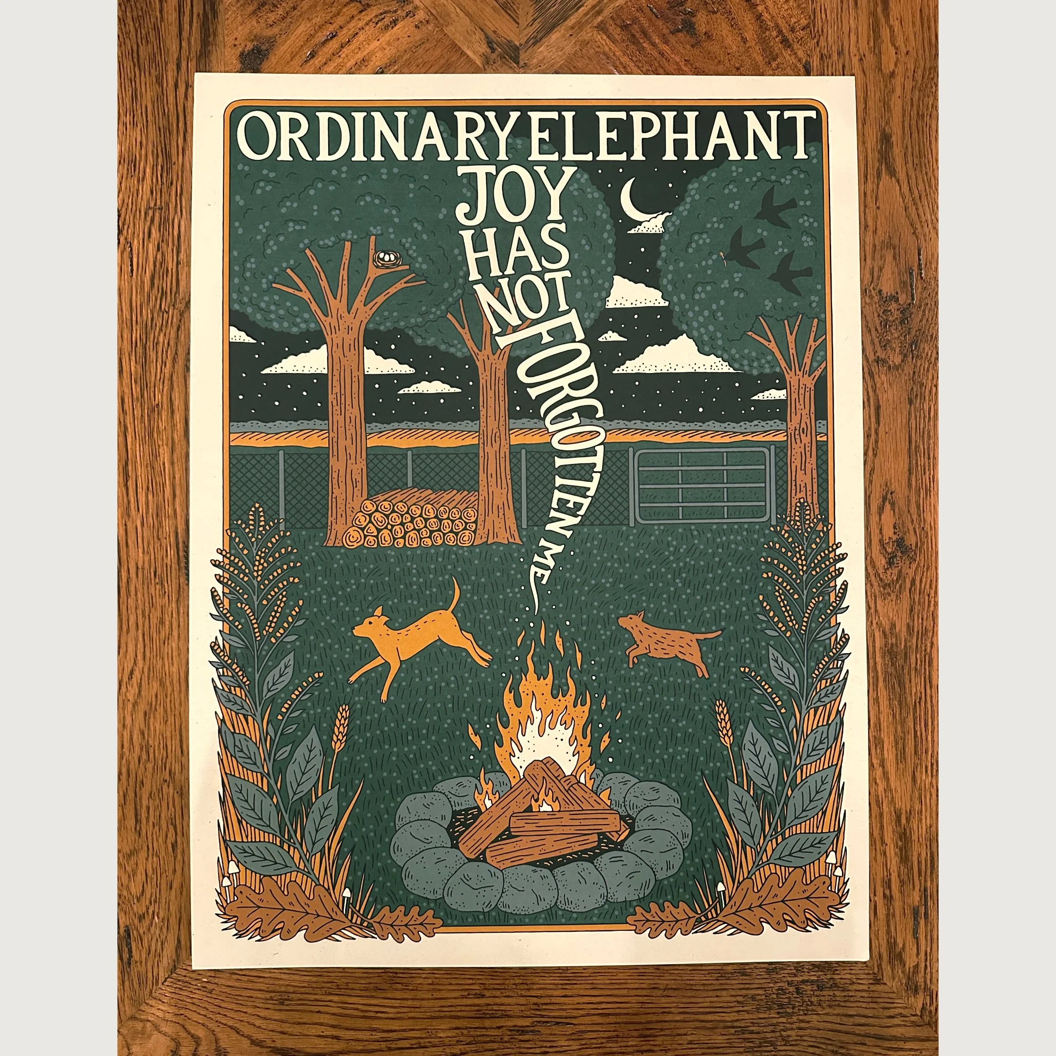 IMG_3808 2 square.JPG