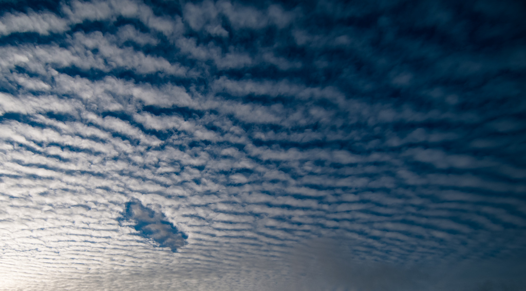 the ozone layer of the atmosphere