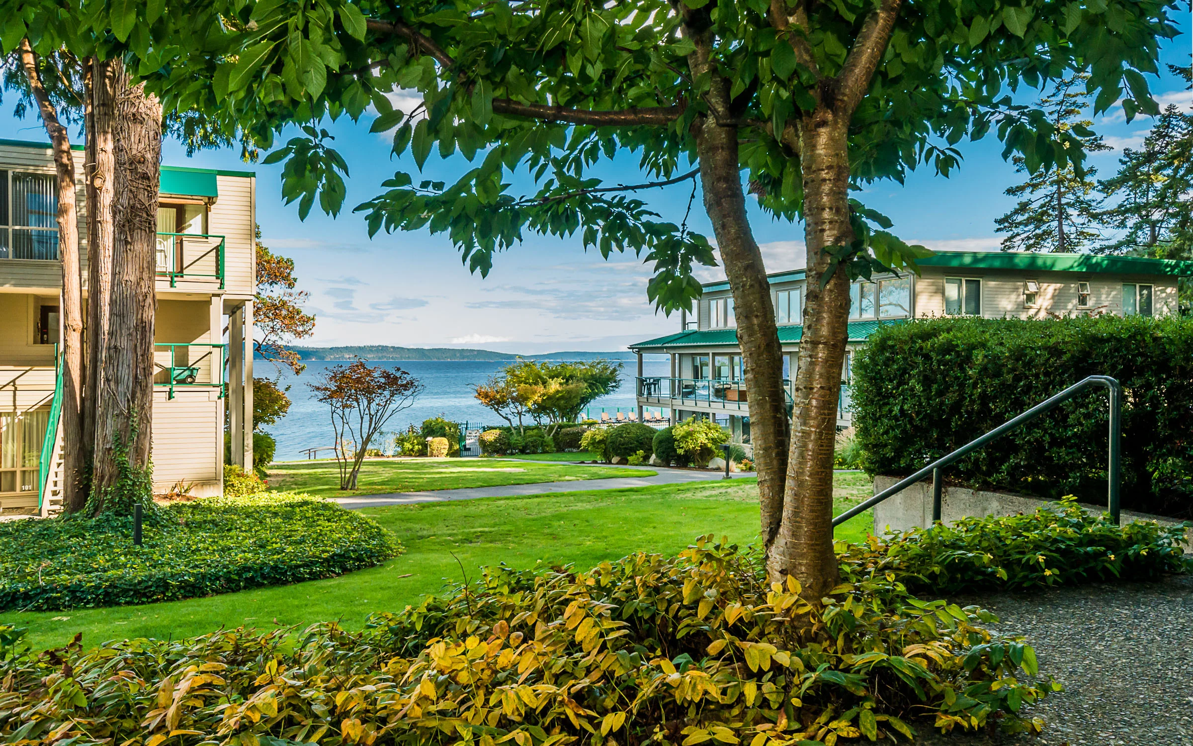 119 patio view.jpg
