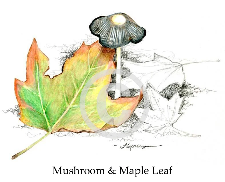 MushAndMapleLeafForWeb.jpg