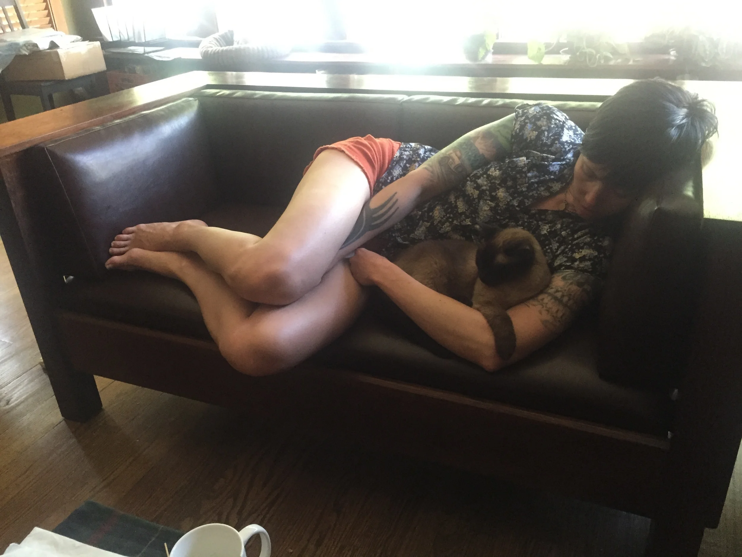 The wife, and cat, approve!