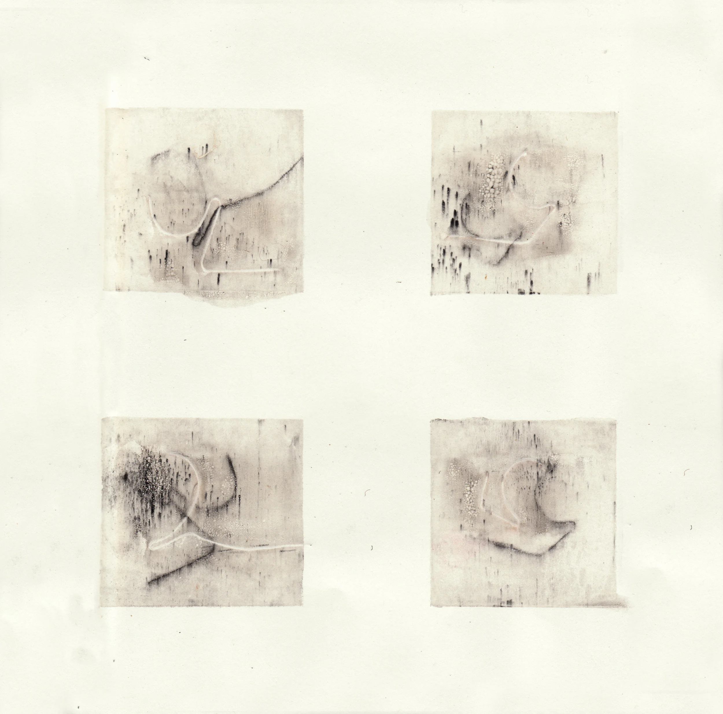 2017 Silkscreen monoprint with graphite
