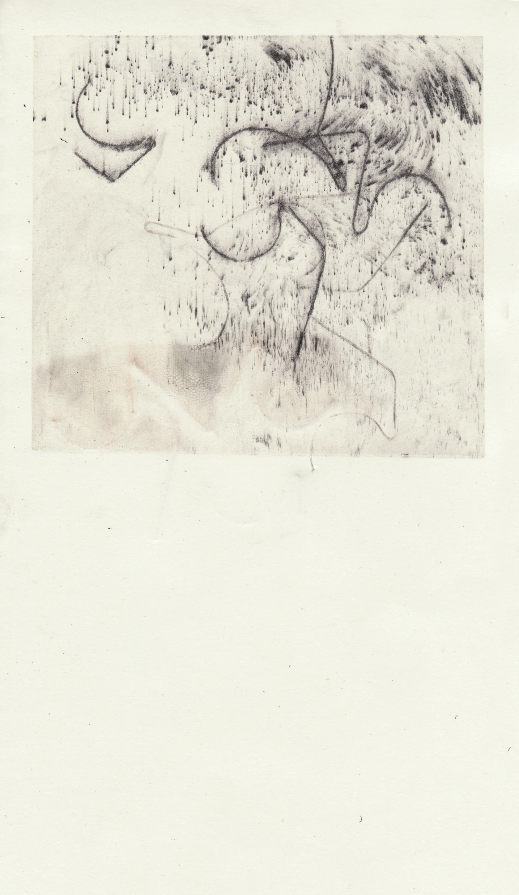 2017 Silkscreen monoprint with graphite