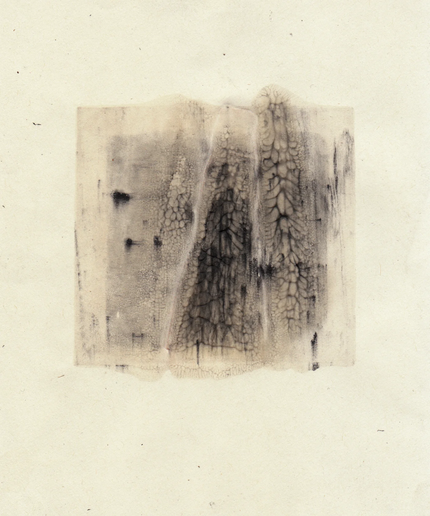 2017 Silkscreen monoprint with graphite