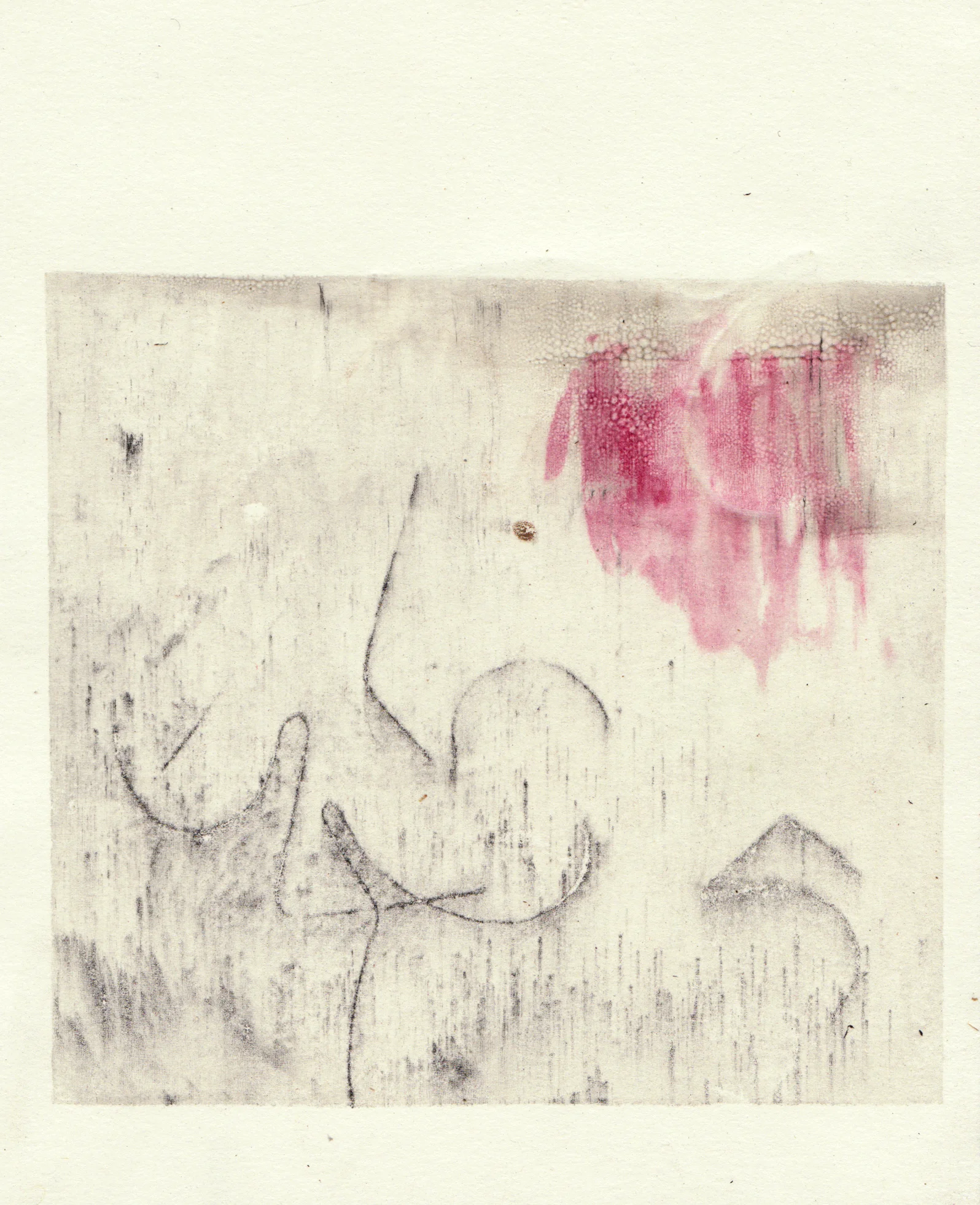 2017 Silkscreen monoprint with graphite