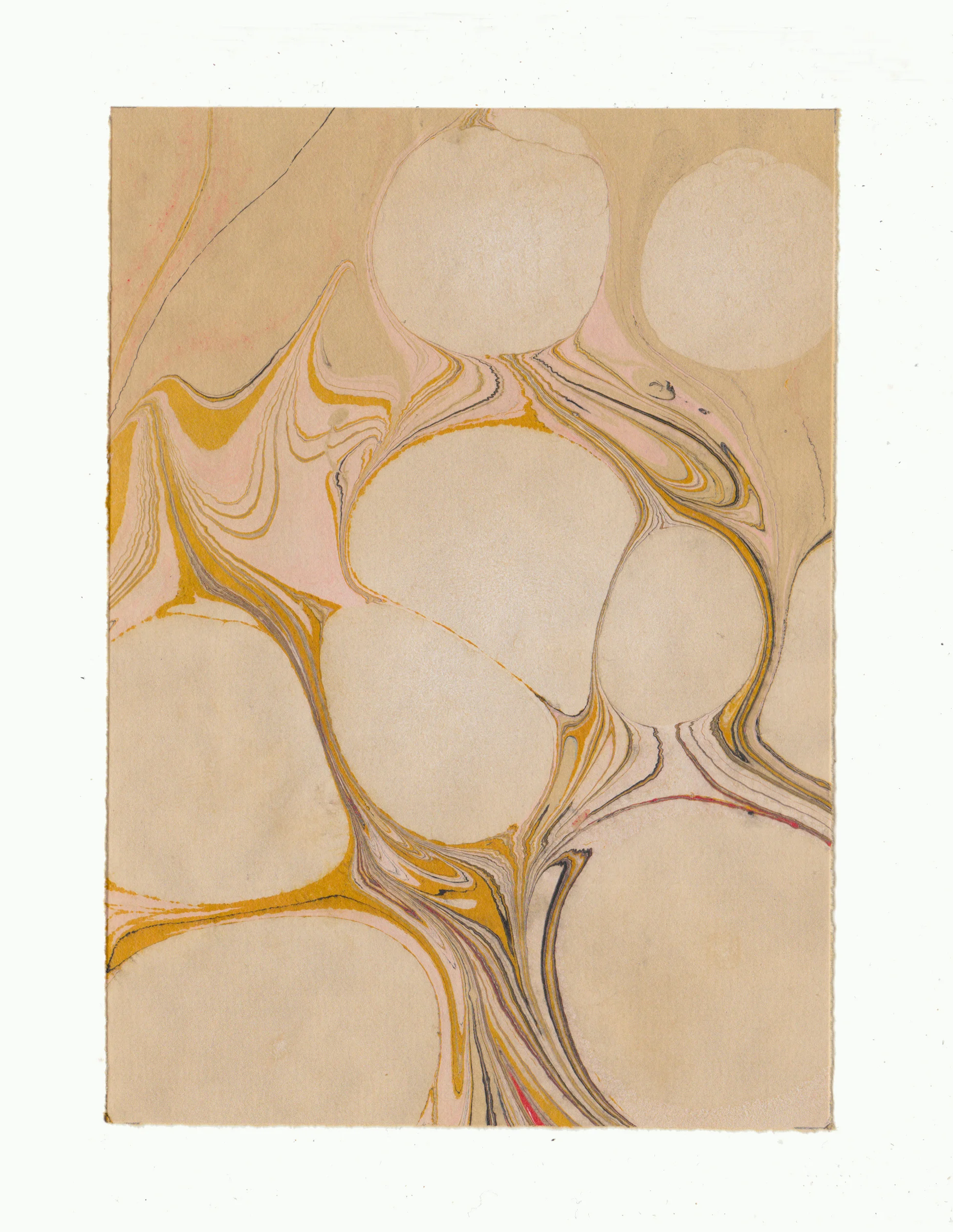2019 Ink and dye on paper 5” x 7”