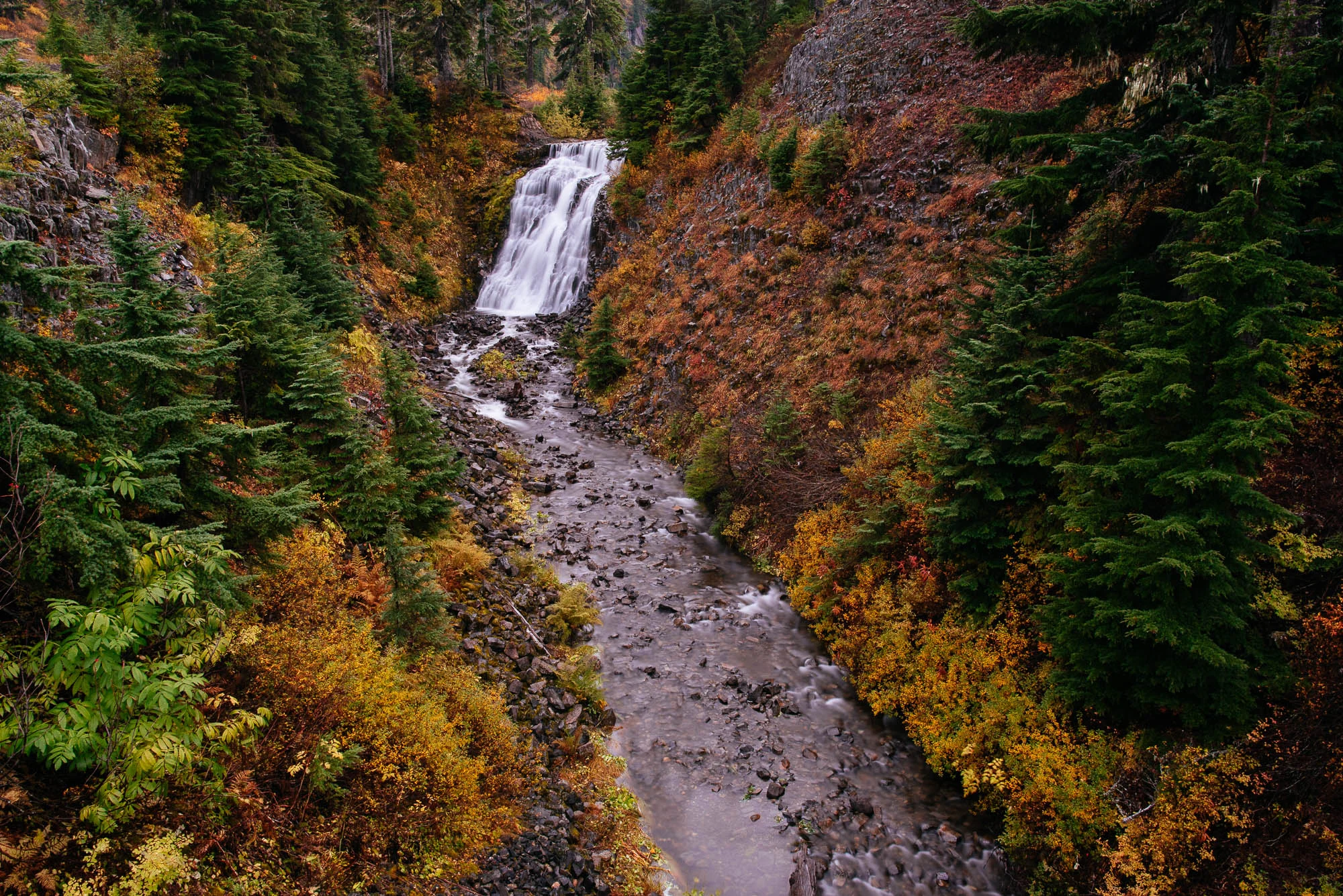 mikewwalton-9328.jpg
