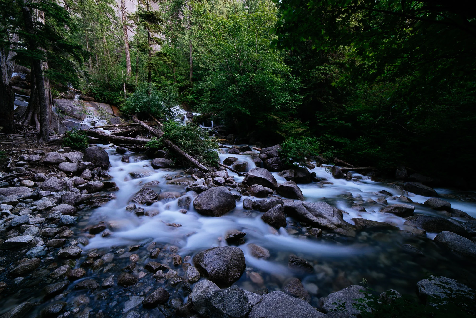 mikewwalton-3855.jpg