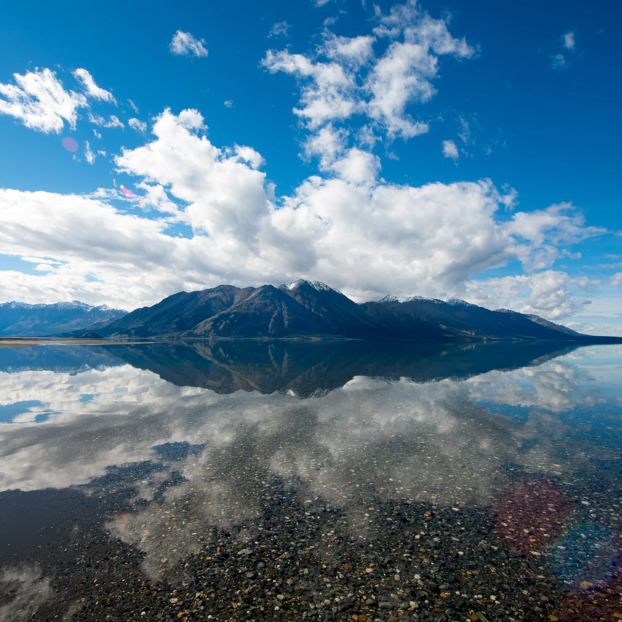 mikewwalton-0836.jpg
