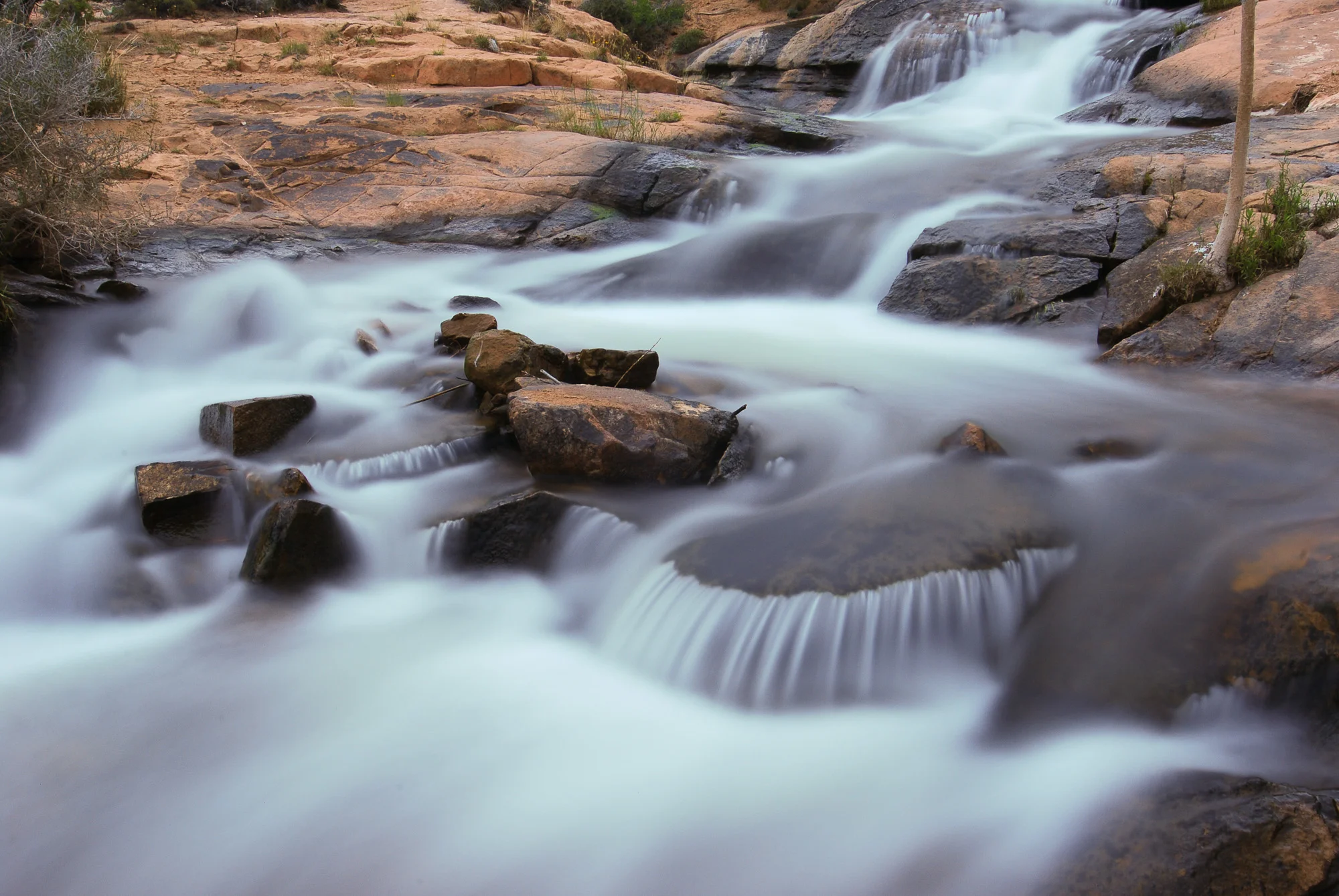 mikewwalton-39.jpg