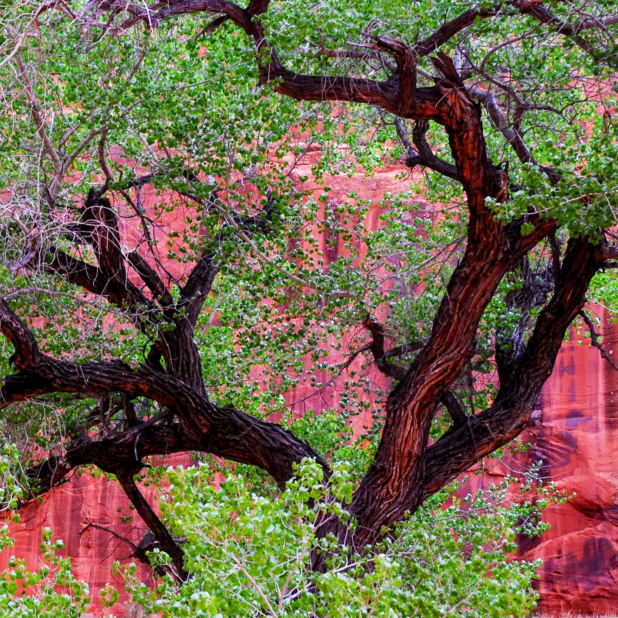 mikewwalton-0759.jpg
