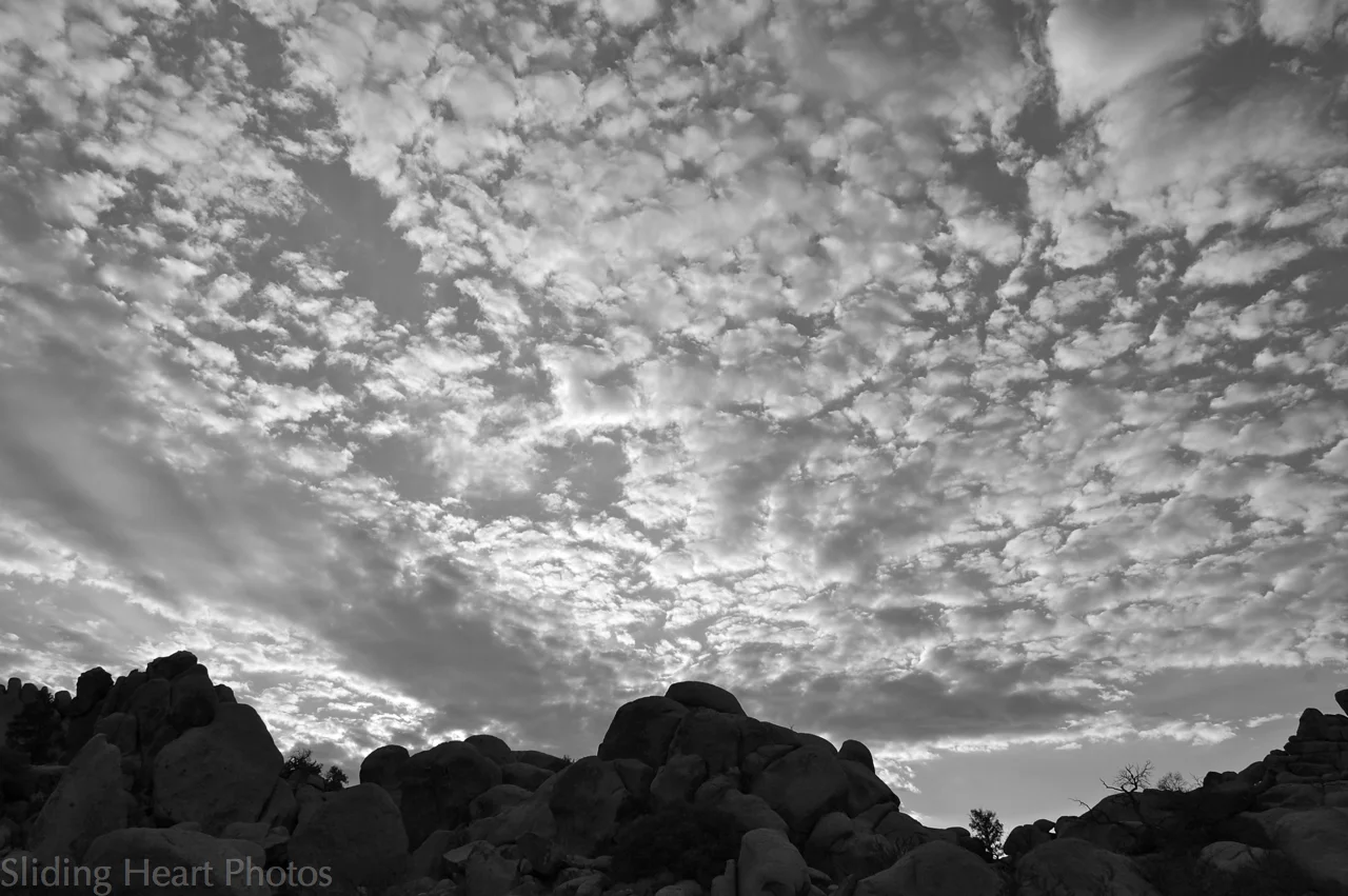 Mosaic Sky