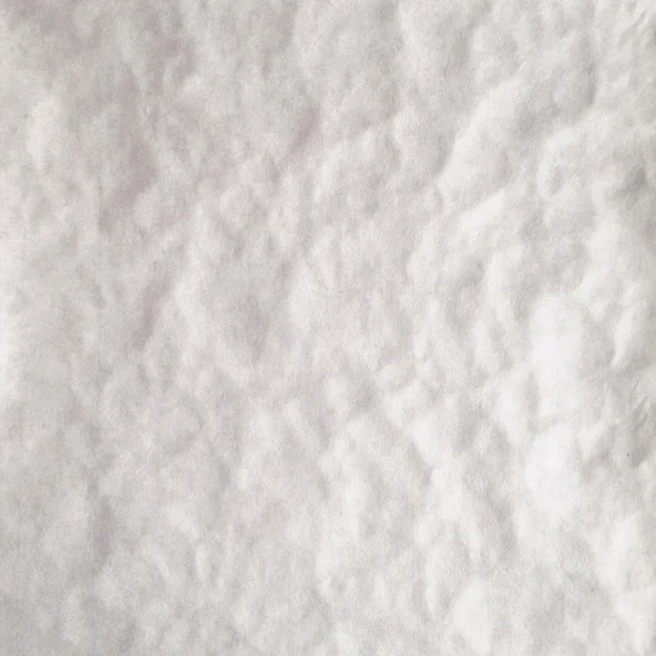 SNOW PRINTS