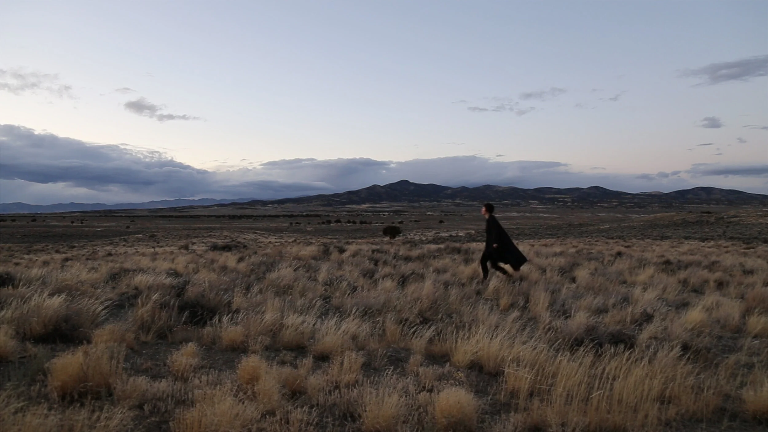 2017_WALKS_FOR_RICHARD_I__VIDEOSTILL_1.jpg