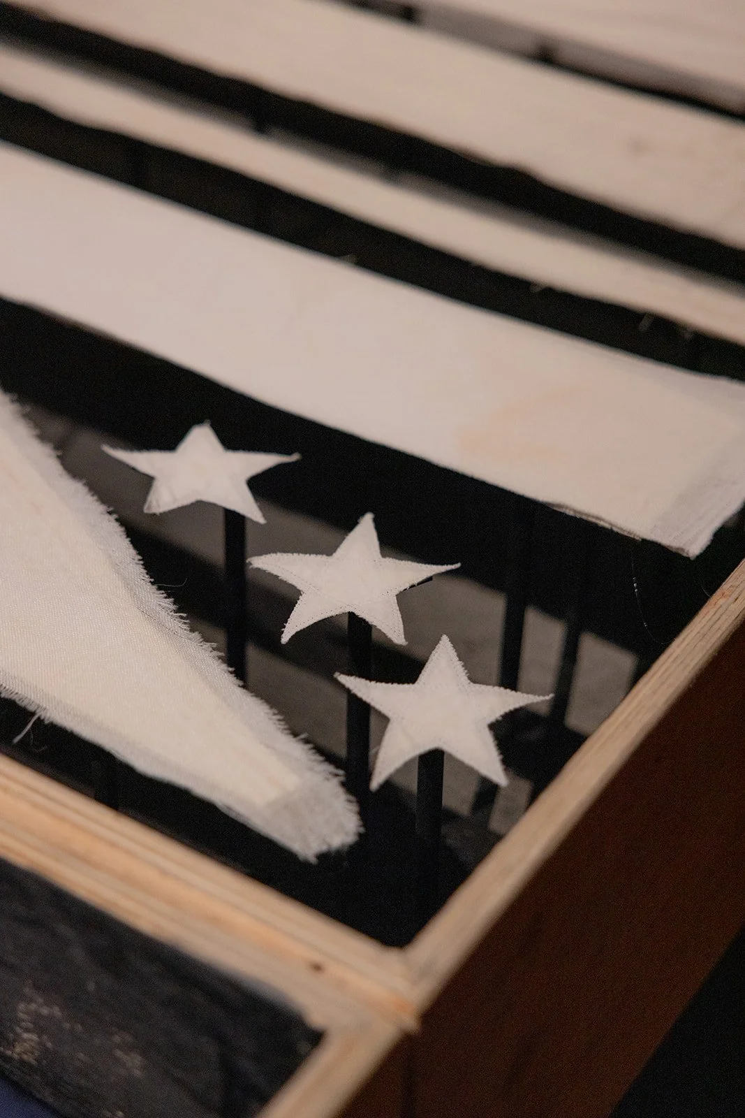 Image by Rosie Hastie