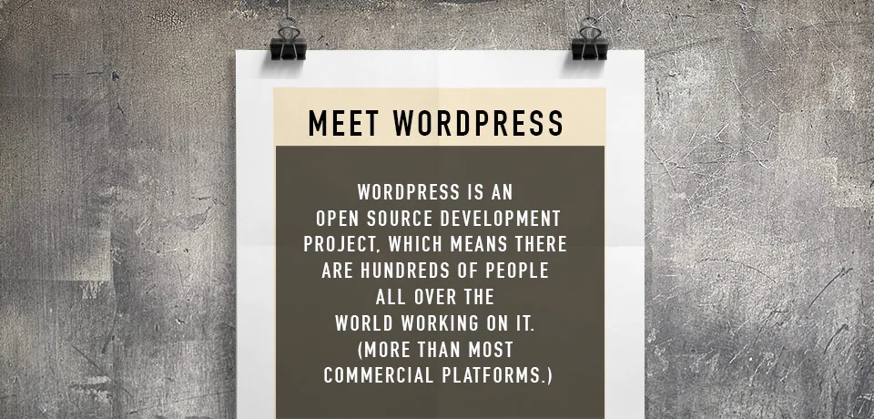 Wordpress-04.jpg
