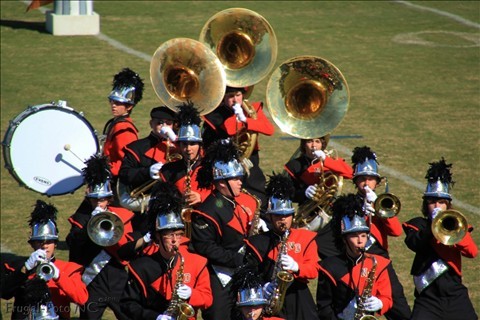 nd14.jpg