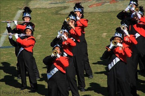 nd13.jpg