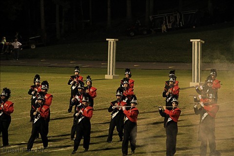 nd6.jpg