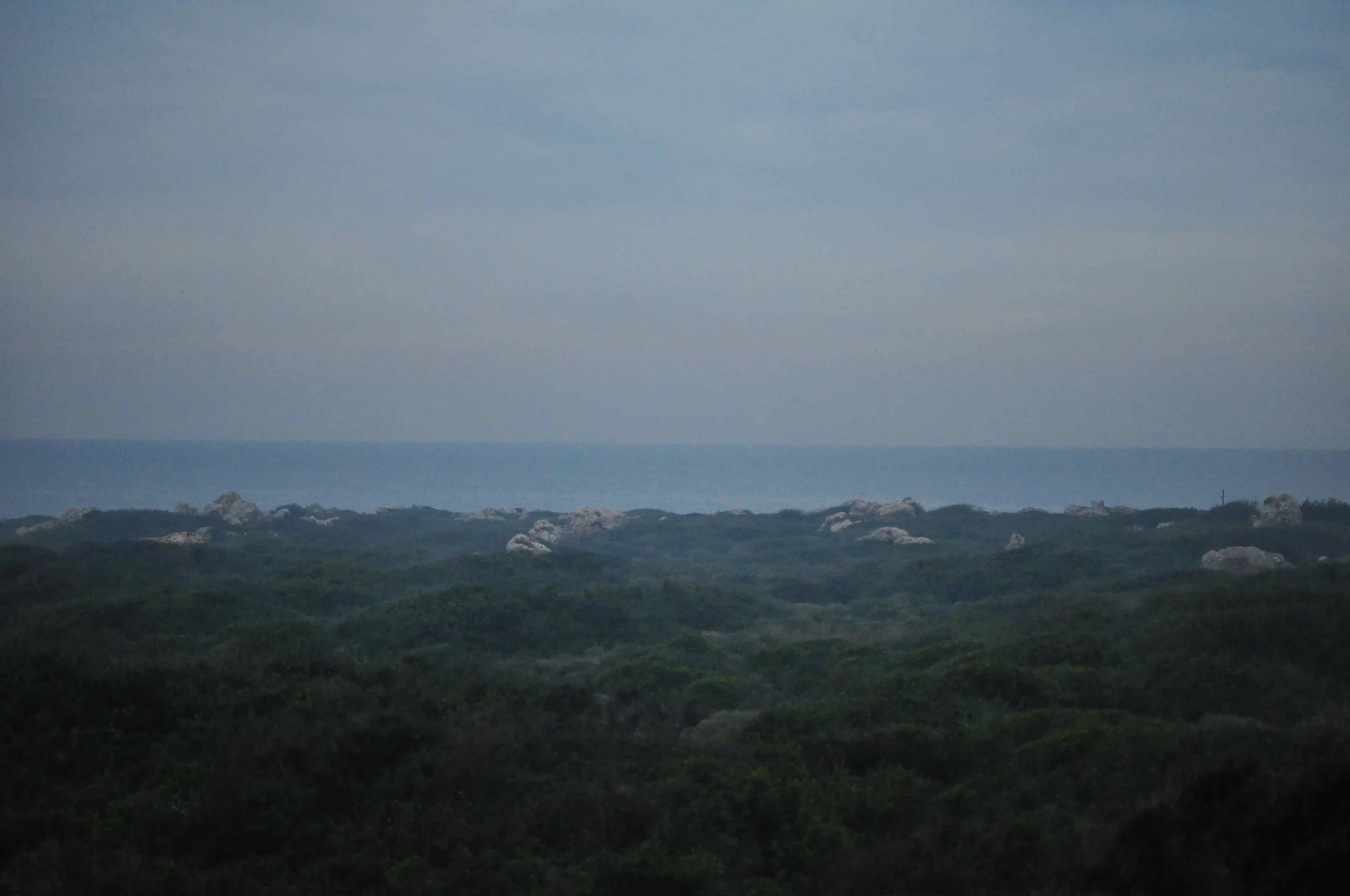 Fog, Moss, Sea.jpg