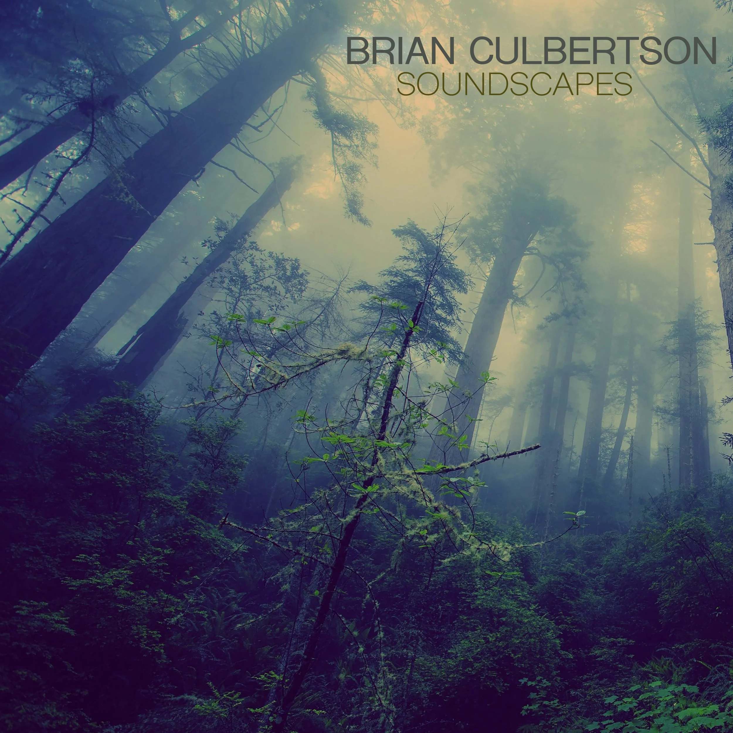 23 Soundscapes Cover.jpg