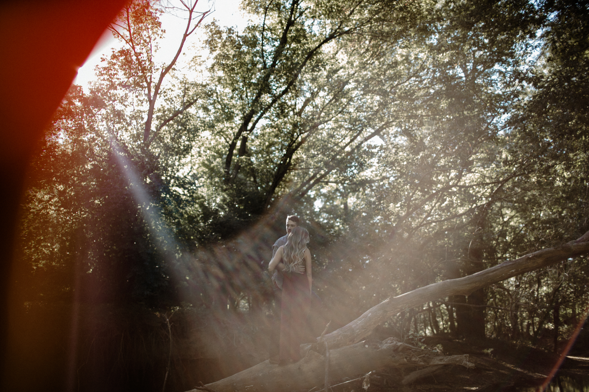 ryan and olivia columbus ohio engagement photographer whetstone park of roses by sarah rose