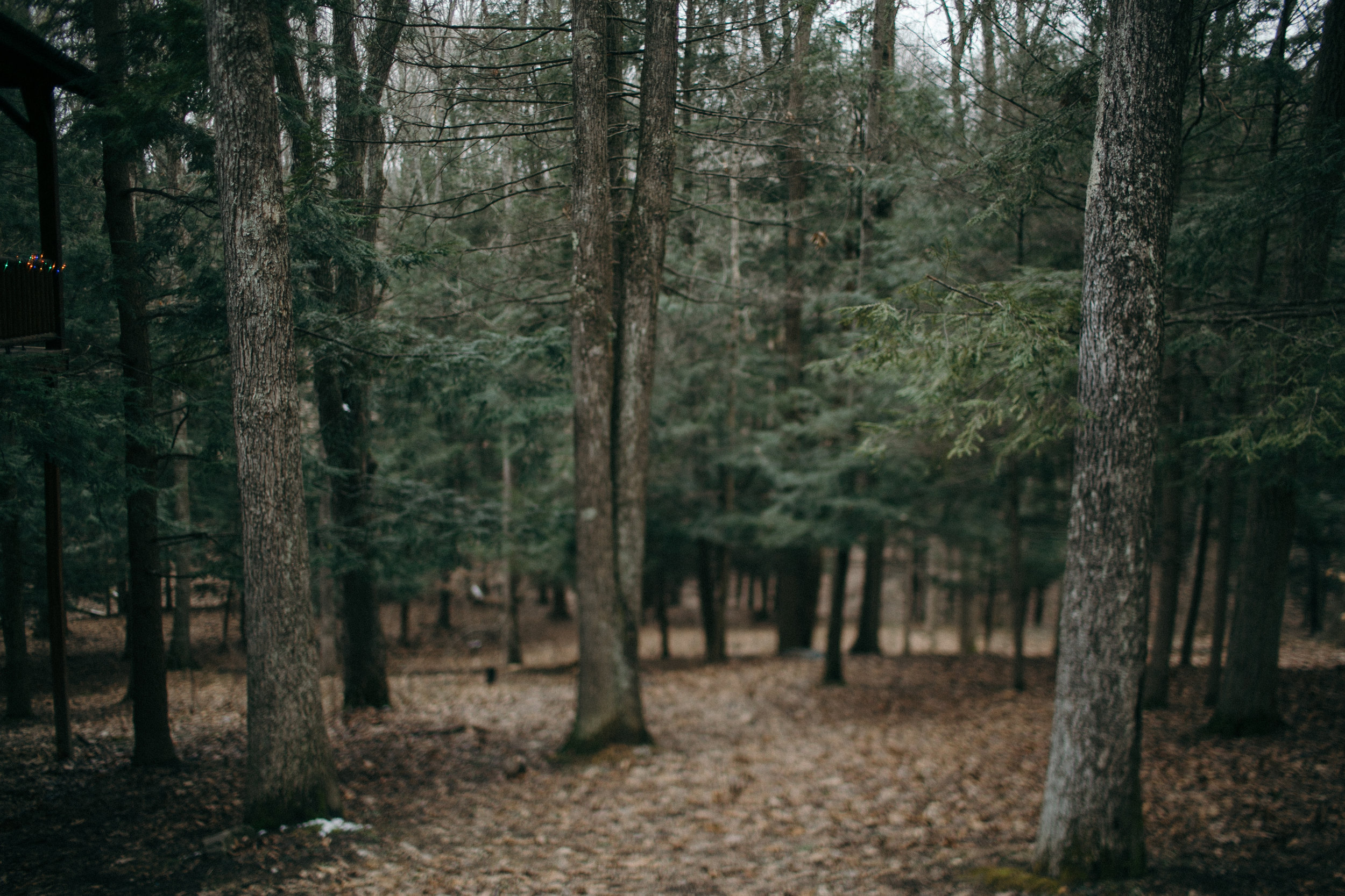 jake and krysti hocking hills engagement photography by sarah rose