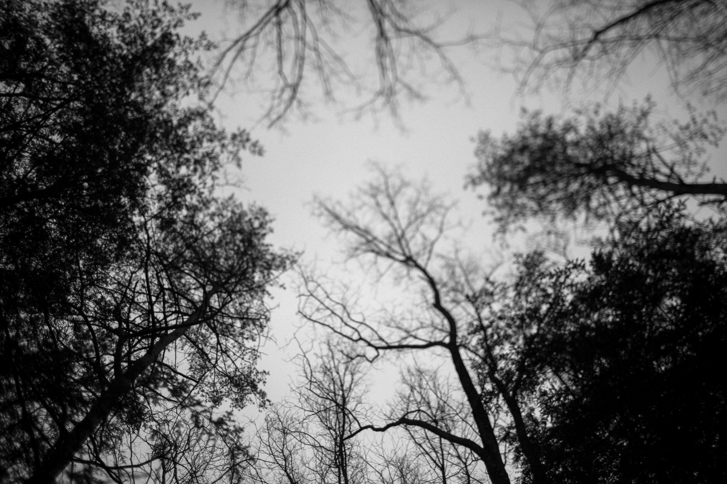 jake and krysti engagement session with friends in hocking hills, ohio by sarah rose