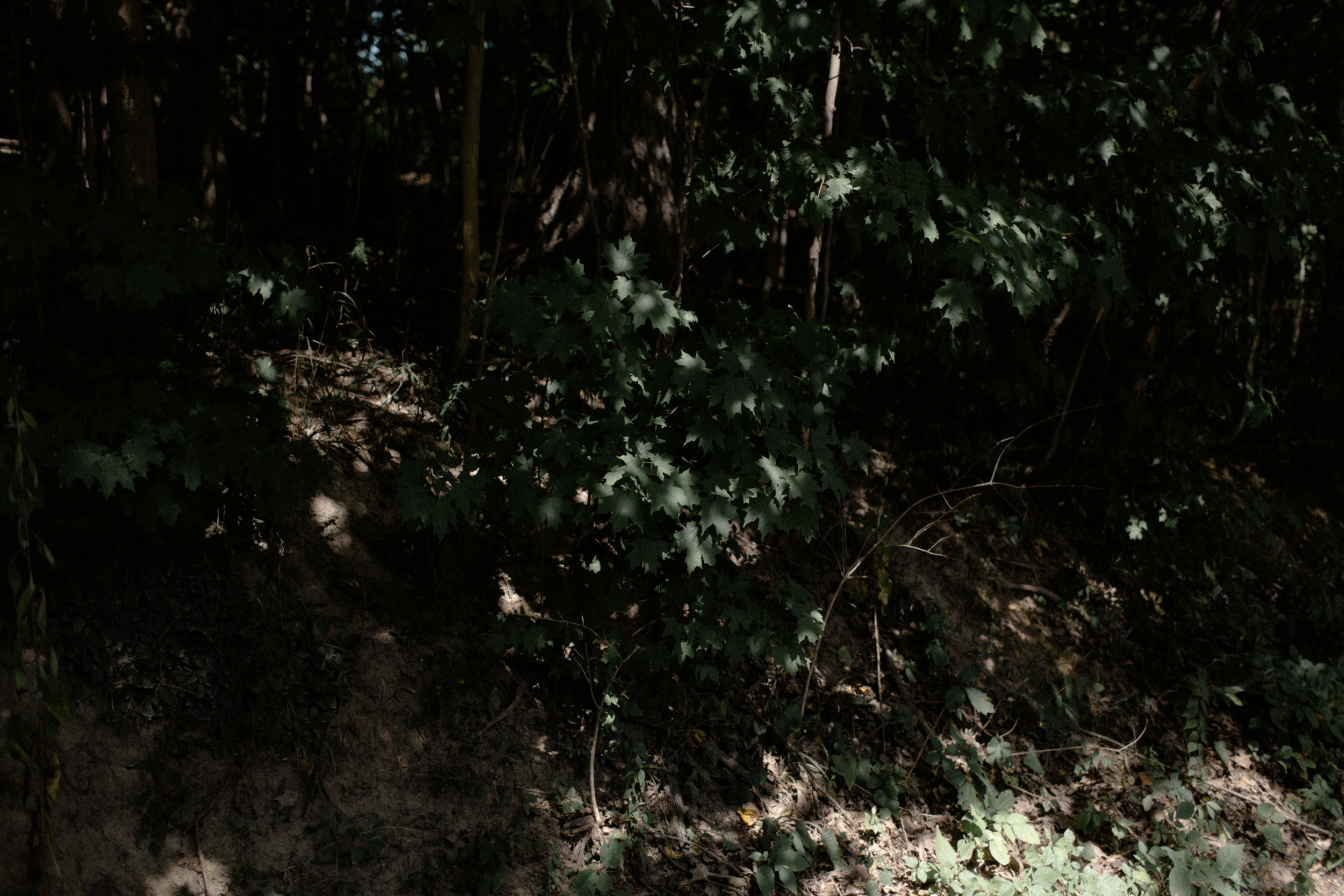 canyon run ranch wedding bohemian wedding photographer ohio bohemian wedding dayton ohio wedding photographer columbus ohio wedding photographer cincinnati ohio wedding photographer sarah rose