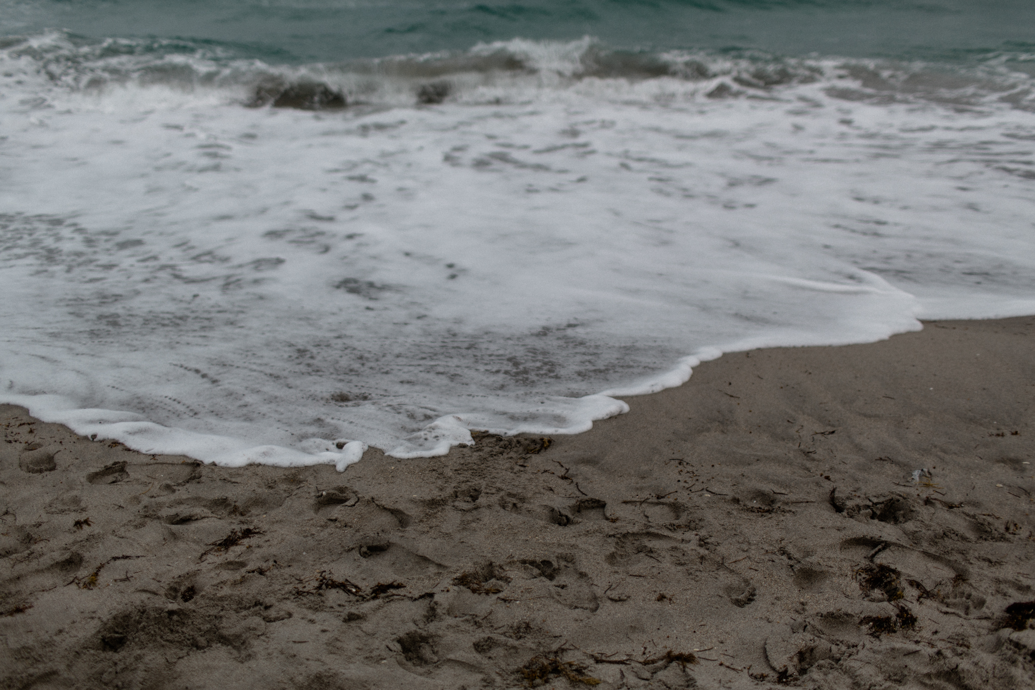 luke kendra fort lauderdale wedding photographer dania beach wedding sarah rose dayton ohio wedding photographer ohio intimate wedding photographer destination wedding photographer