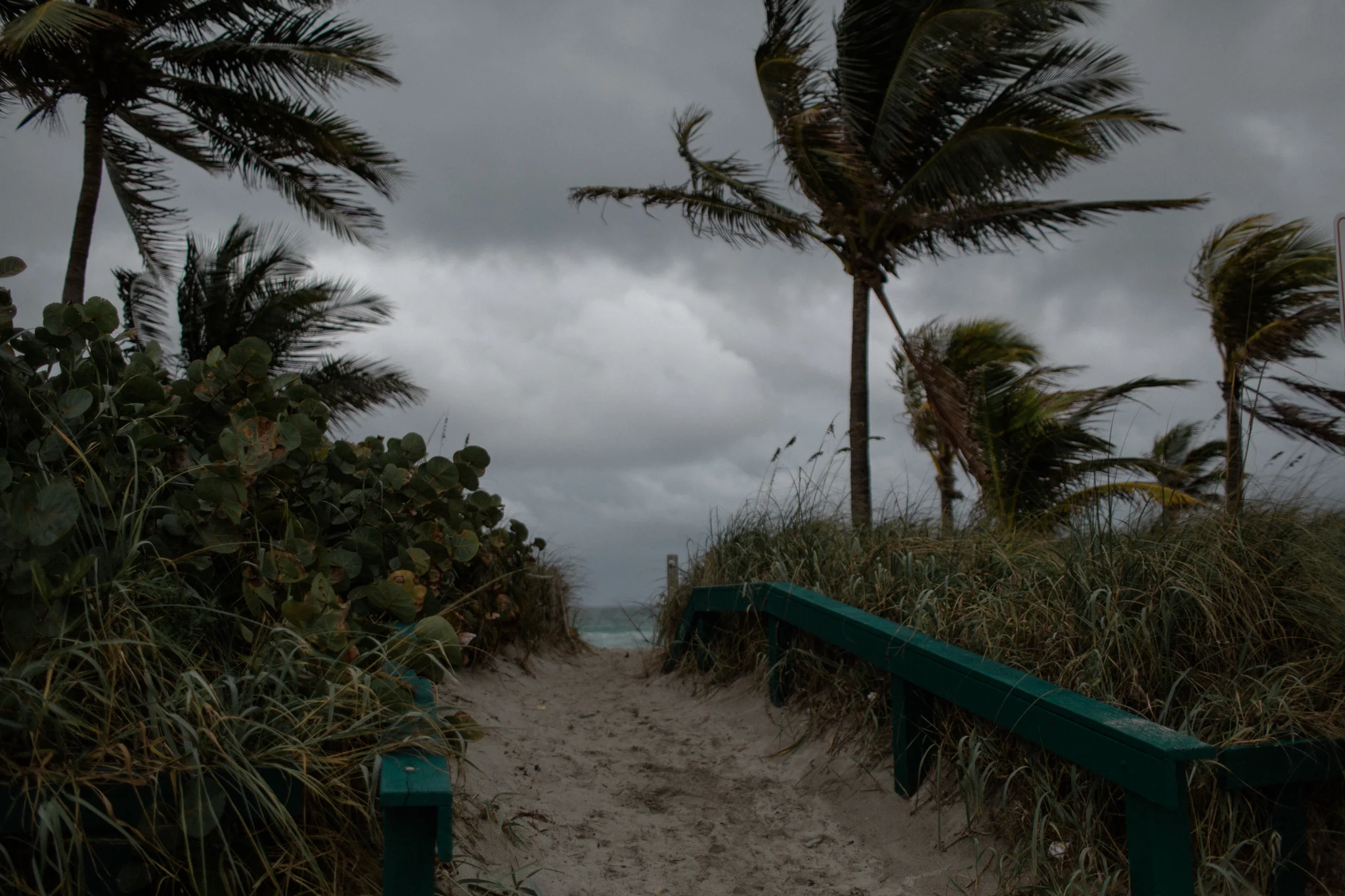luke kendra fort lauderdale wedding photographer dania beach wedding sarah rose dayton ohio wedding photographer ohio intimate wedding photographer destination wedding photographer