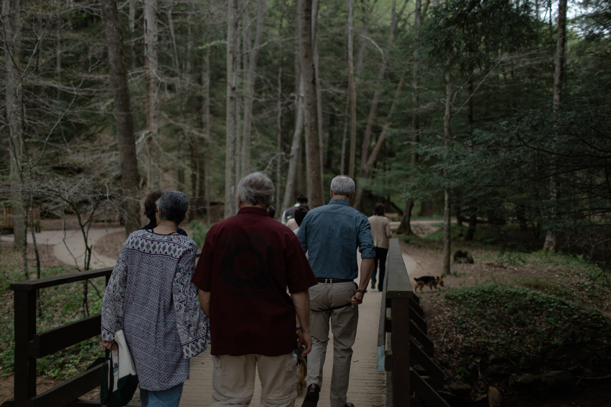 justin brie intimate ohio elopement in hocking hills by sarah rose