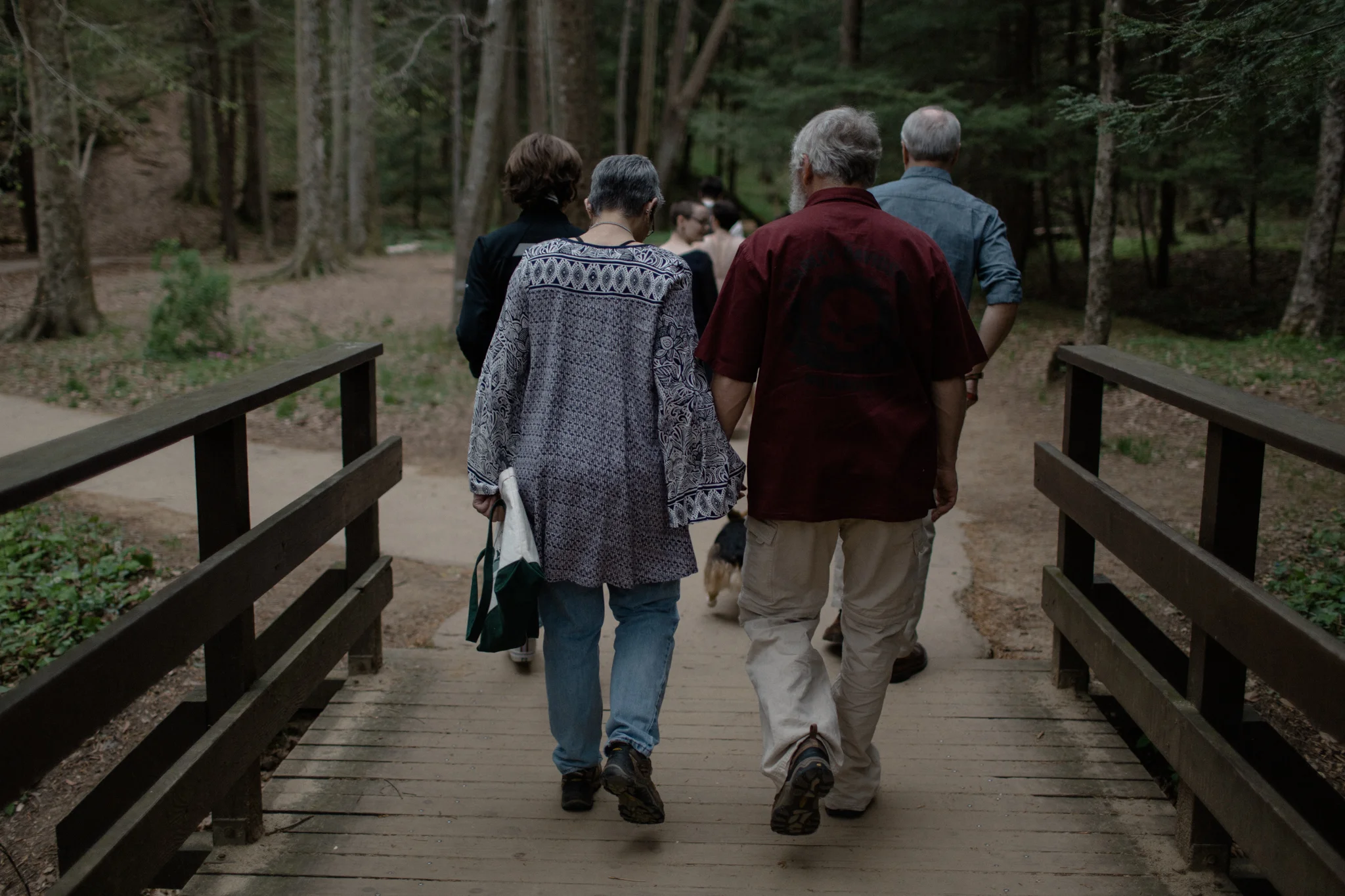 justin brie intimate ohio elopement in hocking hills by sarah rose
