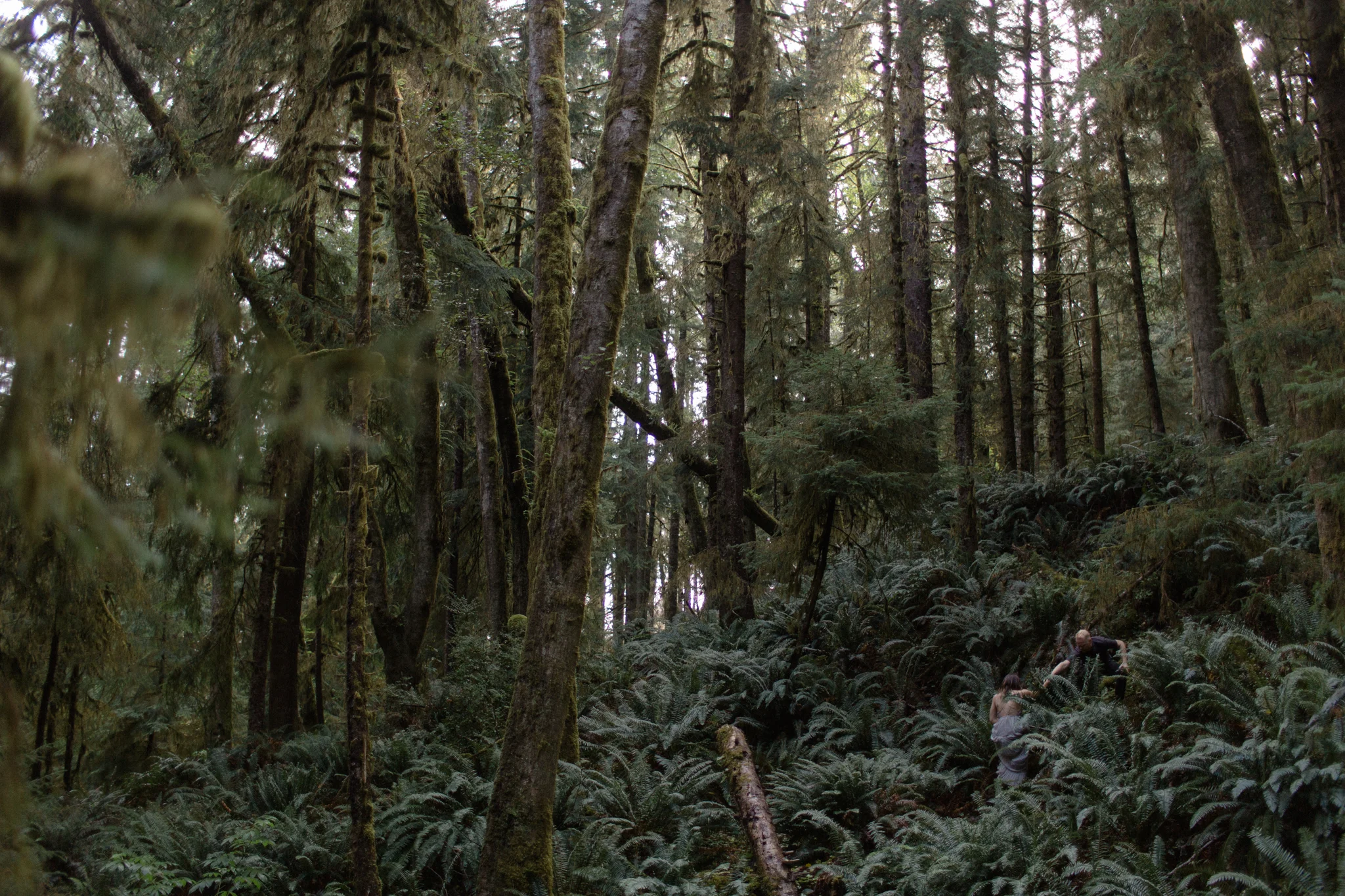 Oregon coast engagement session at cannon beach and ecola state park destination travel photographer sarah rose walk