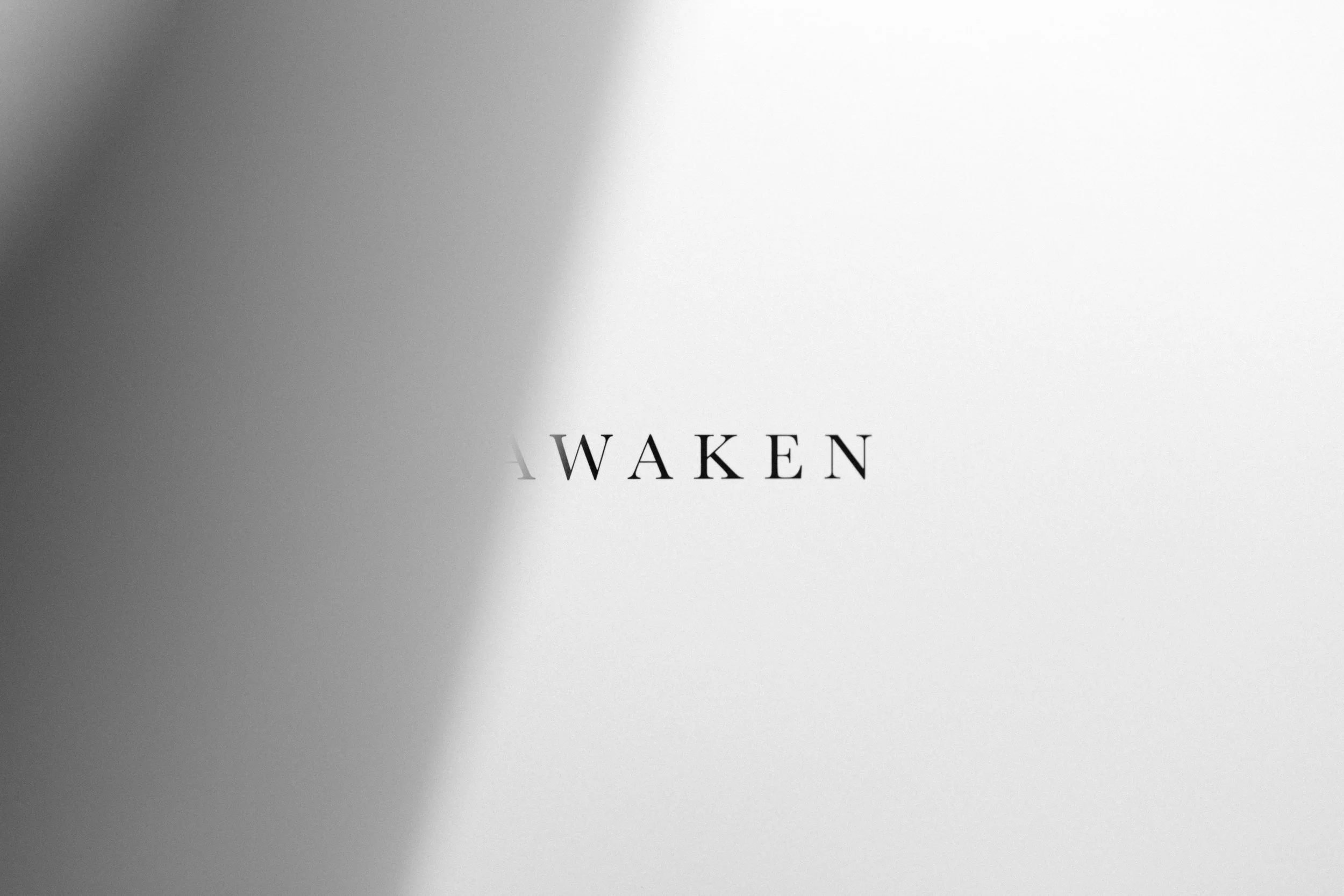 AWAKEN by Sarah Rose_Photo Book.jpg