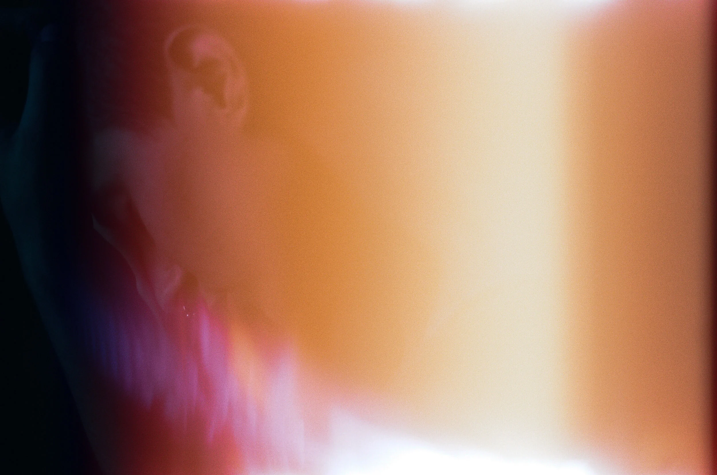 A 35mm Film Portrait by Sarah Rose