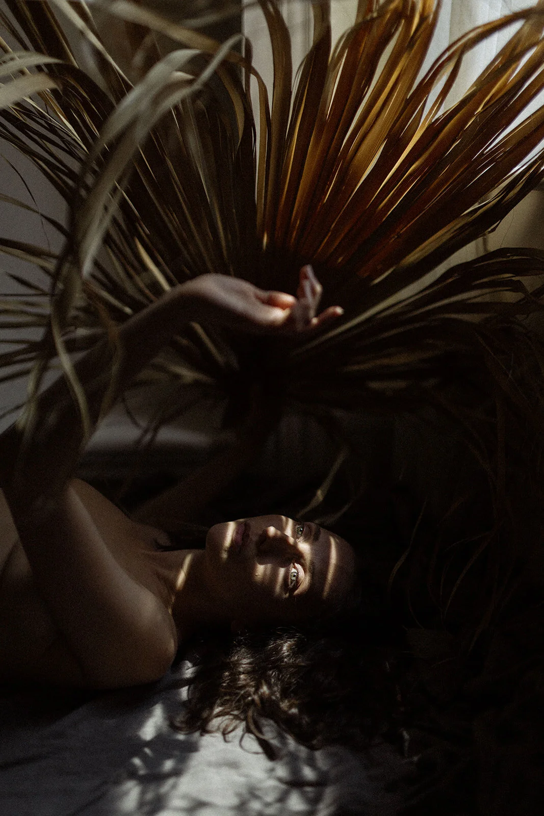 A portrait of Anoush Anou by Sarah Rose