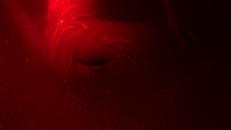 Sarah Rose Red Light Gifs No 01