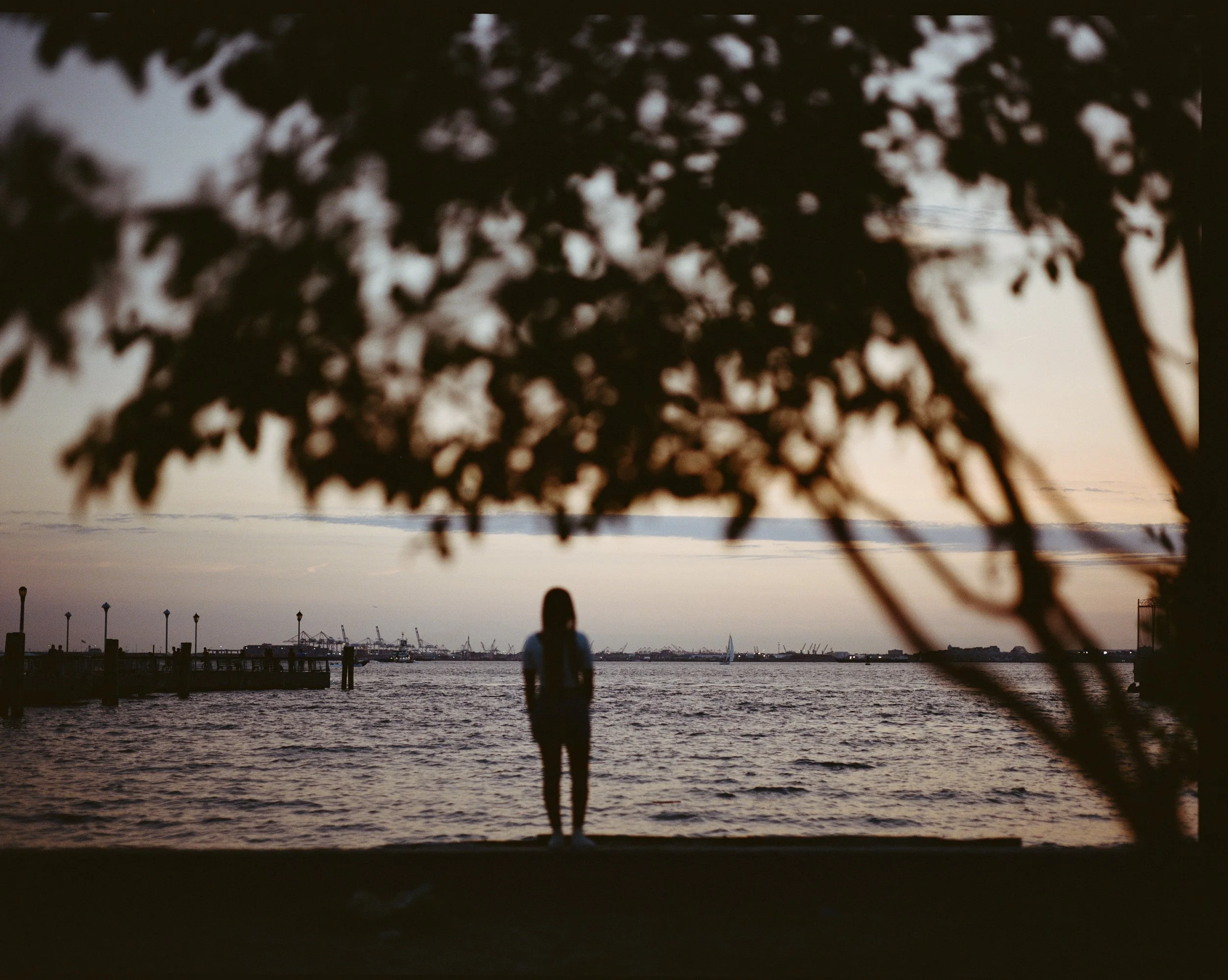 Medium Format Film Portrait in Brooklyn New York by Sarah Rose Cusson