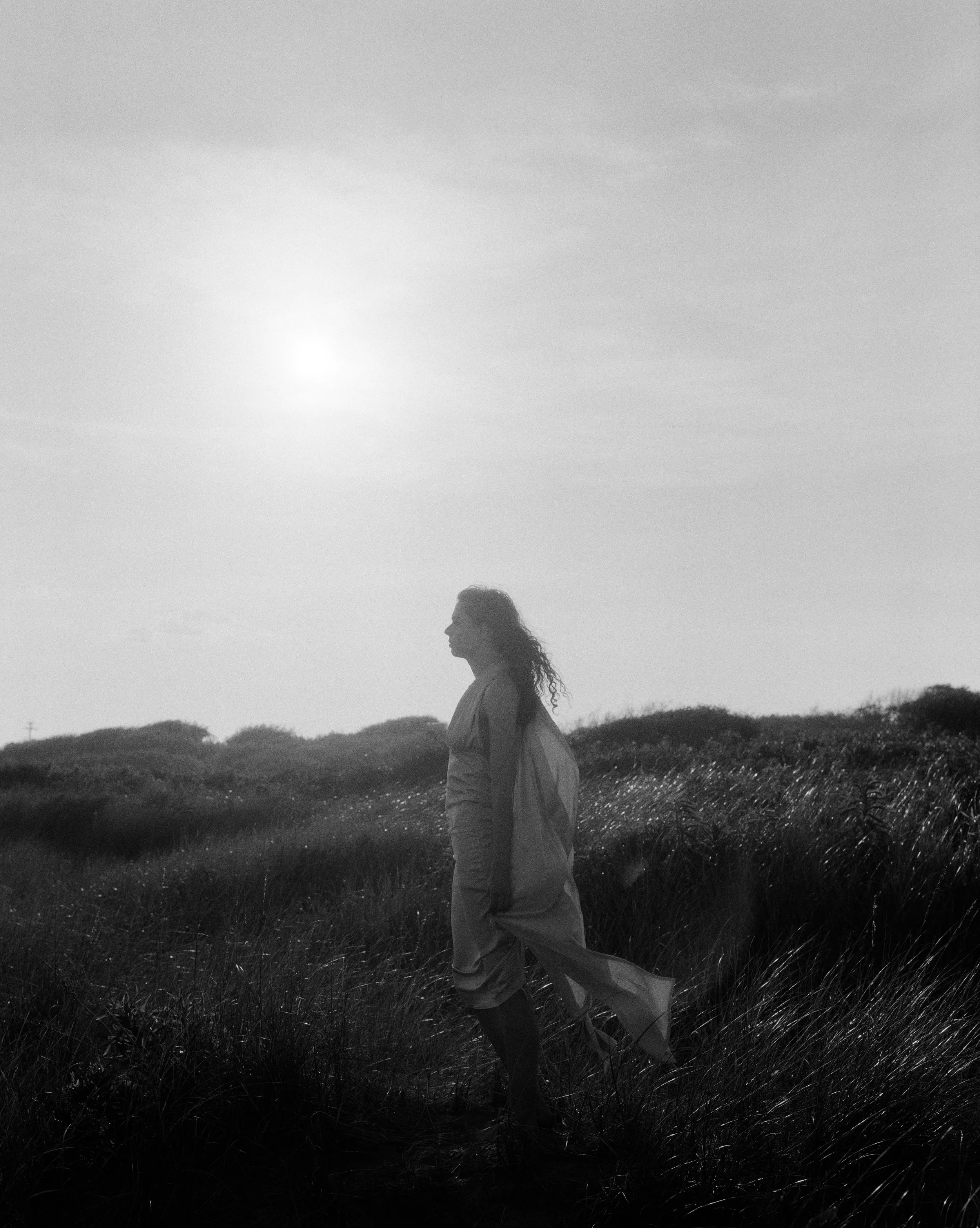 Cassandra_Delta3200-2.jpg