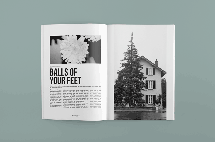  Branding / Identity, Cover / Spread Design, and Photography for Zine Columbia, Columbia College’s Student Publication 