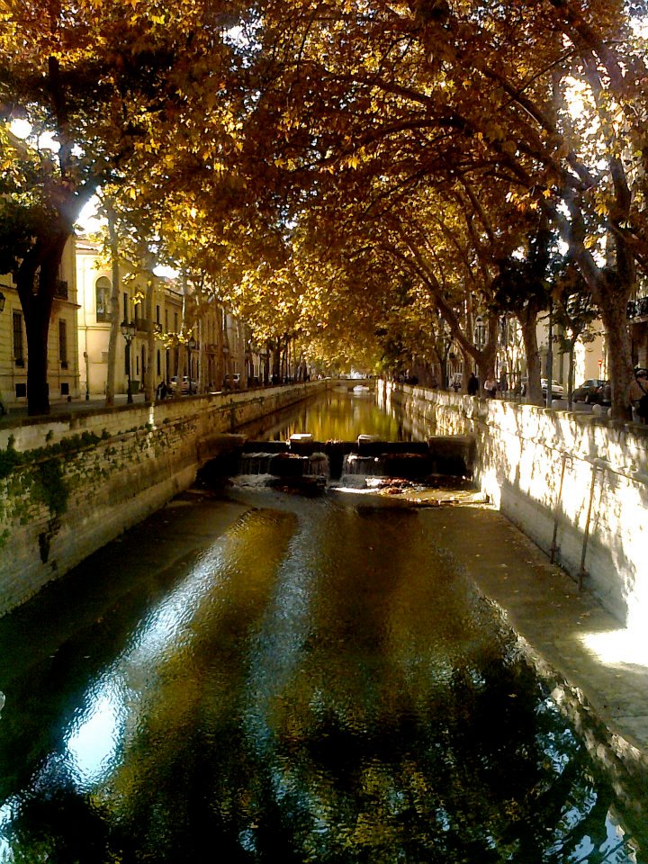 Nîmes. Canal du quai de la Fontaine. 